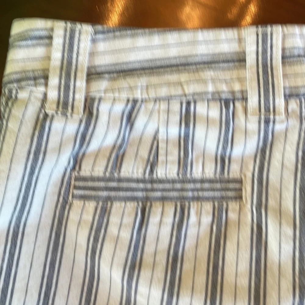 J. Crew City Fit Shorts